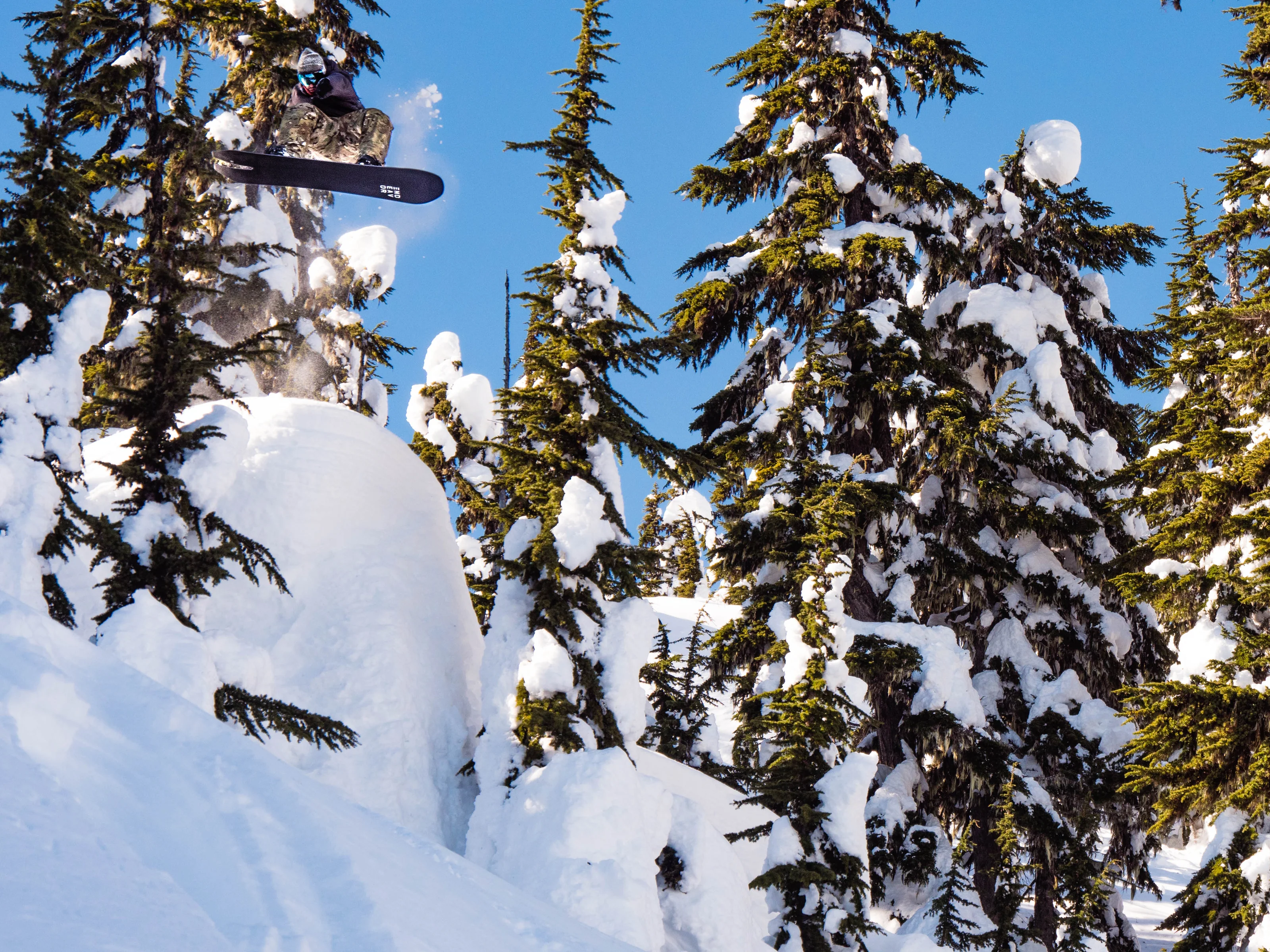 Elevate Your Alpine Performance