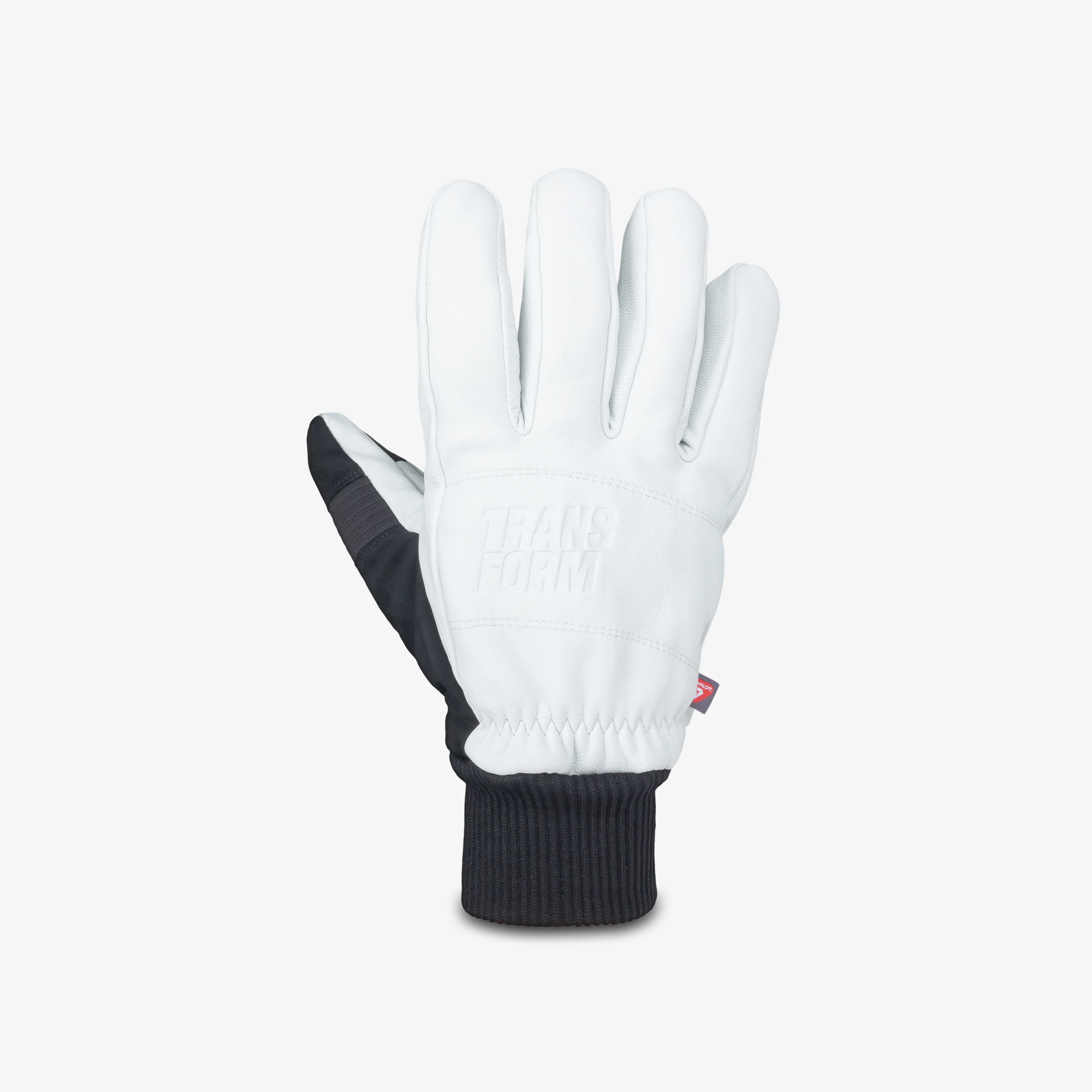 Transform Photo Incentive Glove