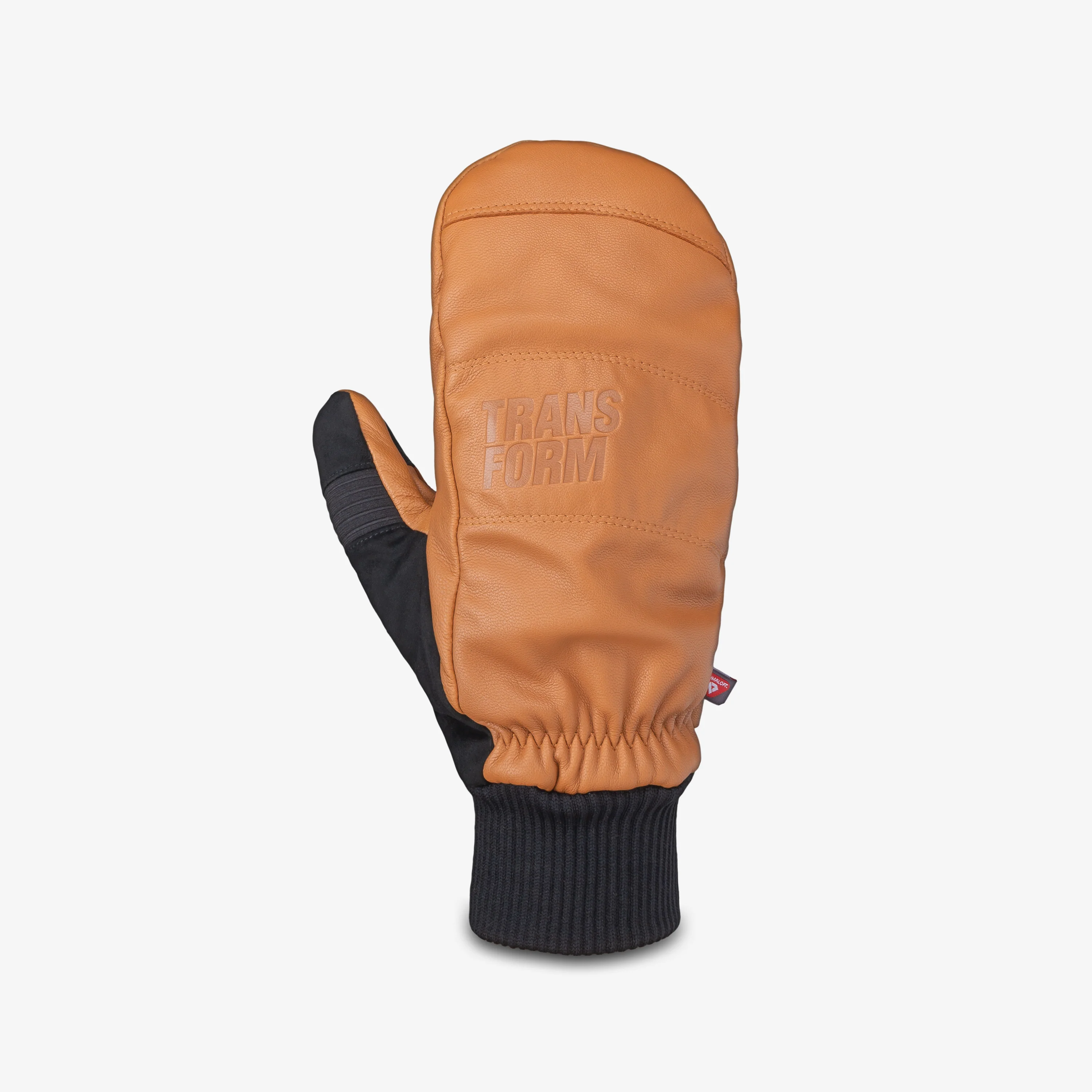 Transform Photo Incentive Mitt