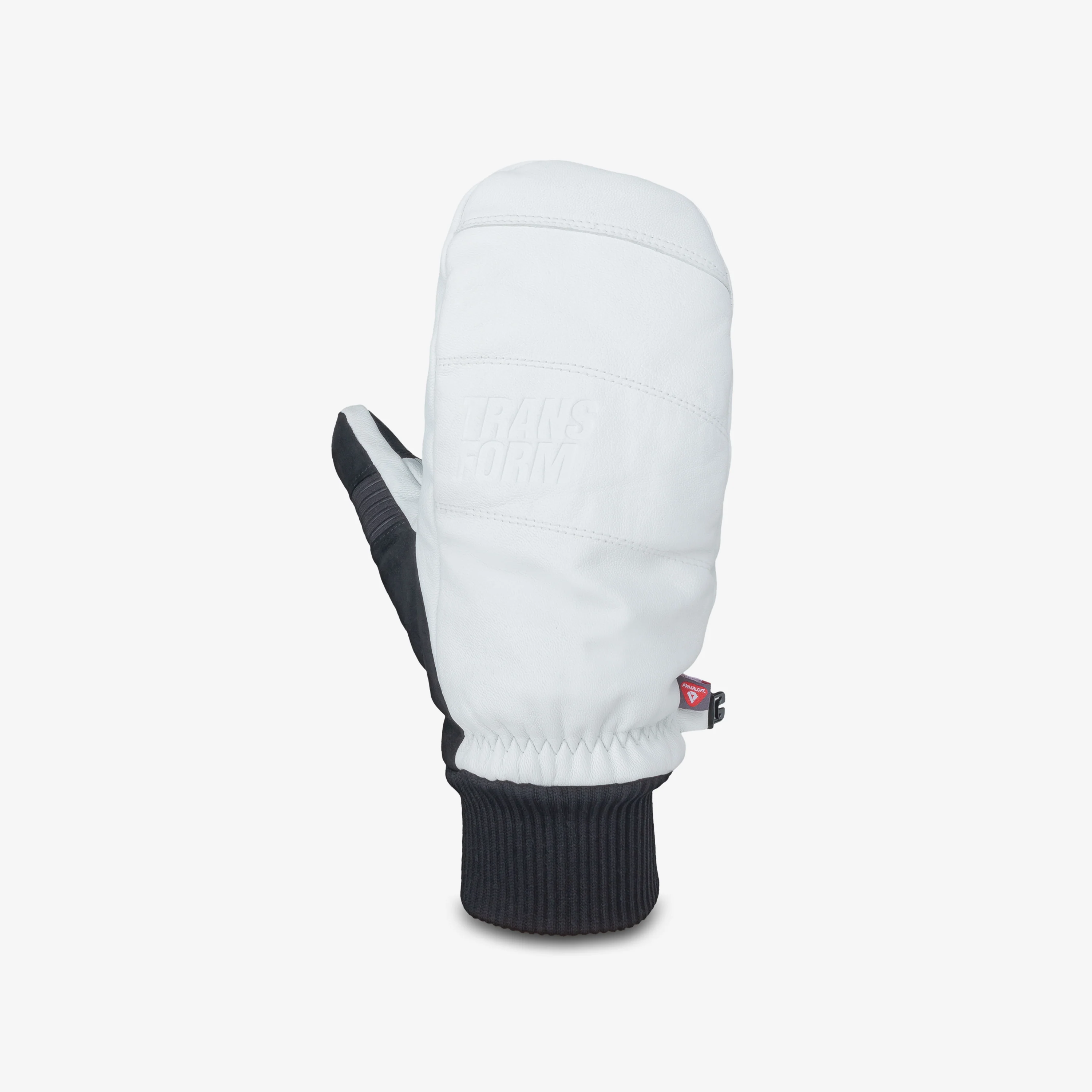 Transform Photo Incentive Mitt